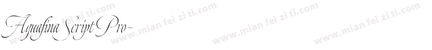 Aguafina Script Pro字体转换